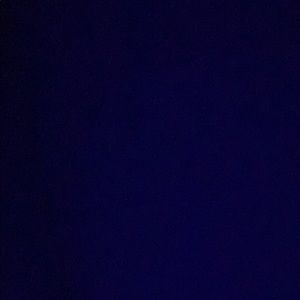 Meet your Posher, Bella